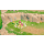 Xbox My Little Pony: Przygoda w Zatoce Grzyw - 731805 - zdjęcie 3